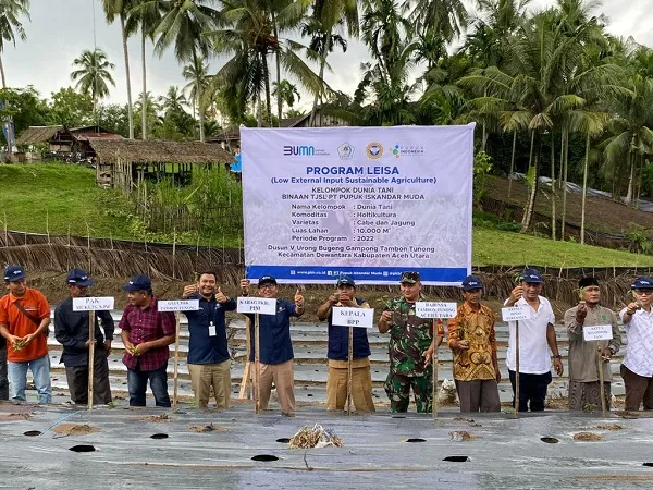 Bina Petani Milenial Melalui Penanaman Cabai Dan Jagung