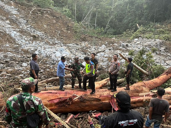 Gercep Bupati Dan Kapolres Tinjau Longsor Bukit Simarsolpah