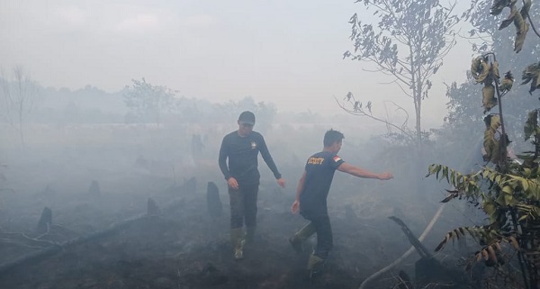 Puluhan Hektar Lahan PT DM Di Singkil Utara Terbakar