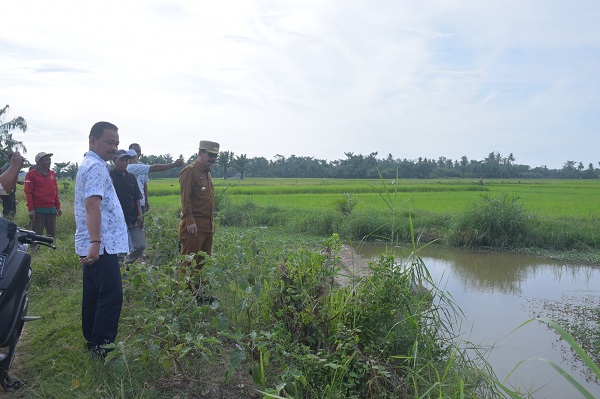 Dinas PUPR Aceh Tamiang Diminta Siapkan DED Jalur Irigasi
