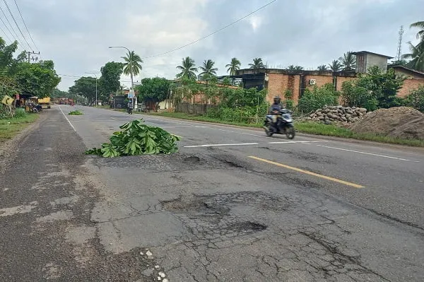 Warga Gunakan Ilalang Tutupi Jalan Negara