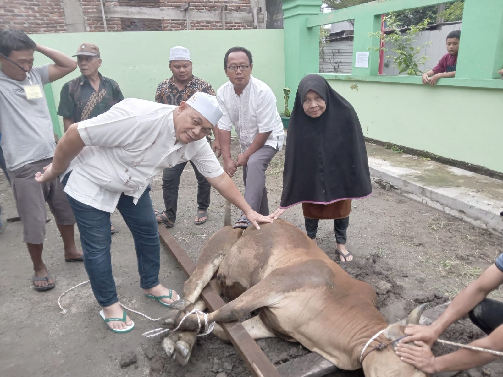 Dahnil Ginting Serahkan 1 Ekor Sapi Ke Kades Sampali Dan Berkurban Di 4 Titik
