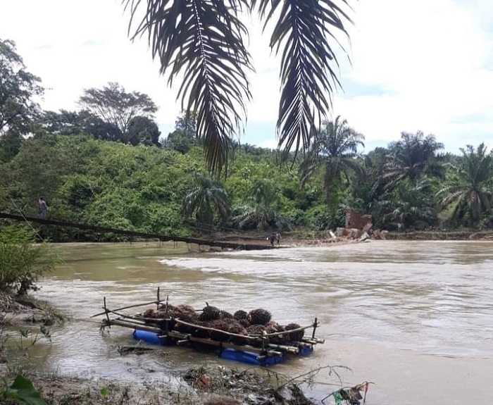 Titi Gantung Desa Aek Lancat Putus, Ratusan Petani Mengeluh