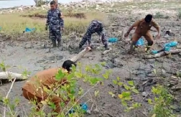 Desa Bandar Rahmat Bersama TNI AL Gerakkan Tanam Mangrove