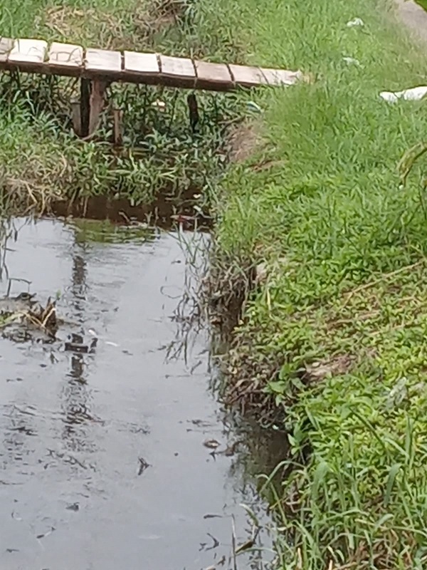 Atasi Banjir, Pembenahan Drainase Dan Parit Mendesak Di Labuhanruku