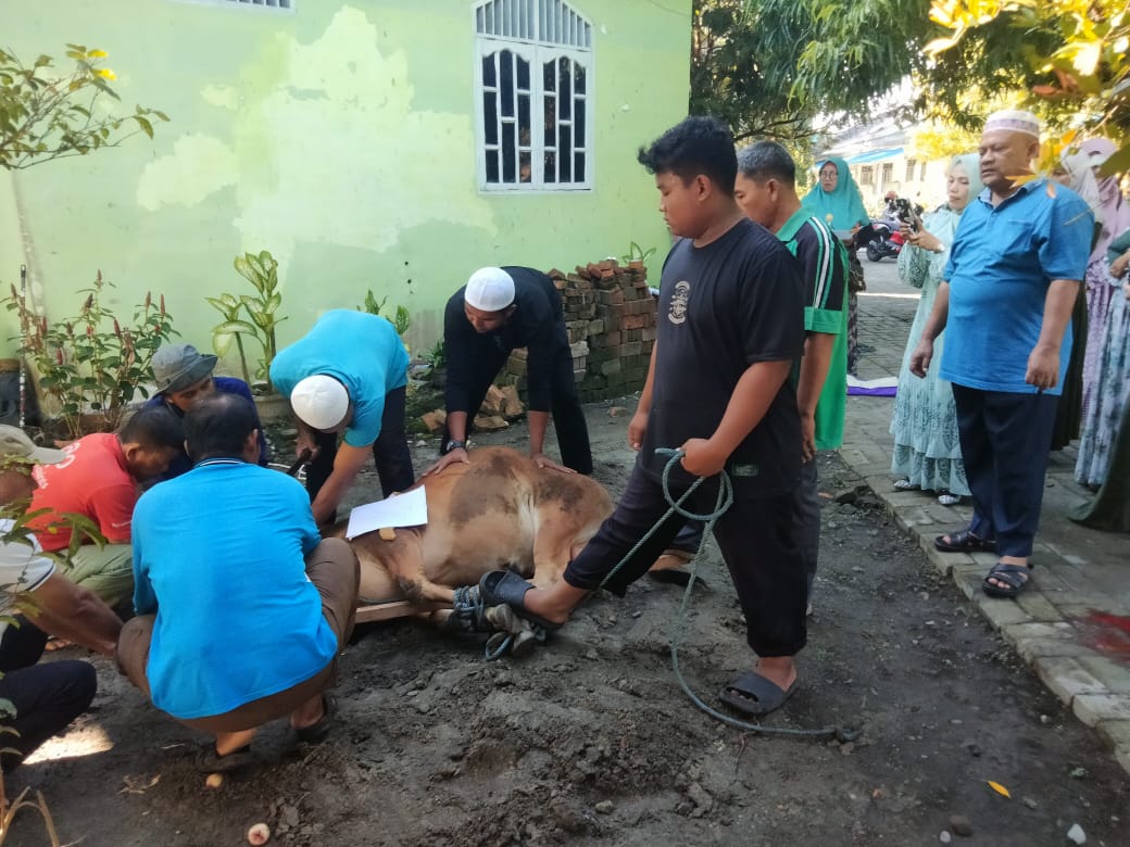 Keluarga Besar SMAN 1 BK Sembelih 2 Sapi 2 Kambing