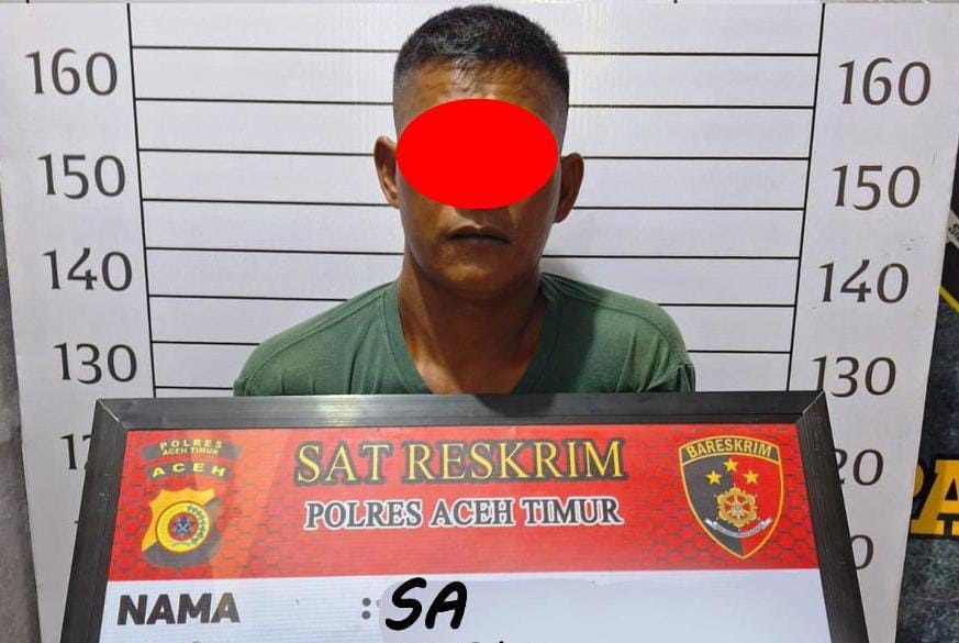Ayah Tega Rudapaksa Anak Kandung