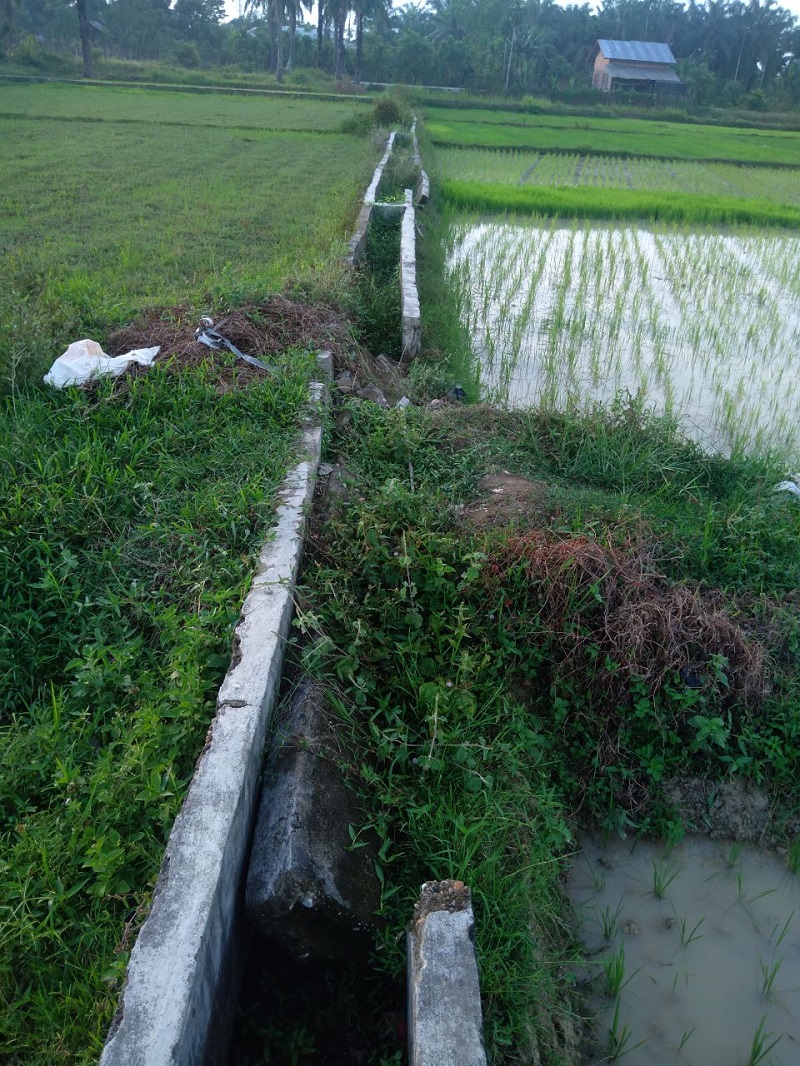 Parit Irigasi Sawah Kampung Lhok Medang Ara Rusak Parah