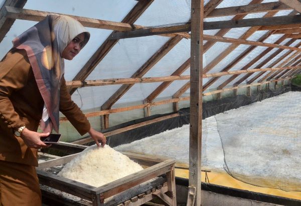 Potensi Garam Dikembangkan