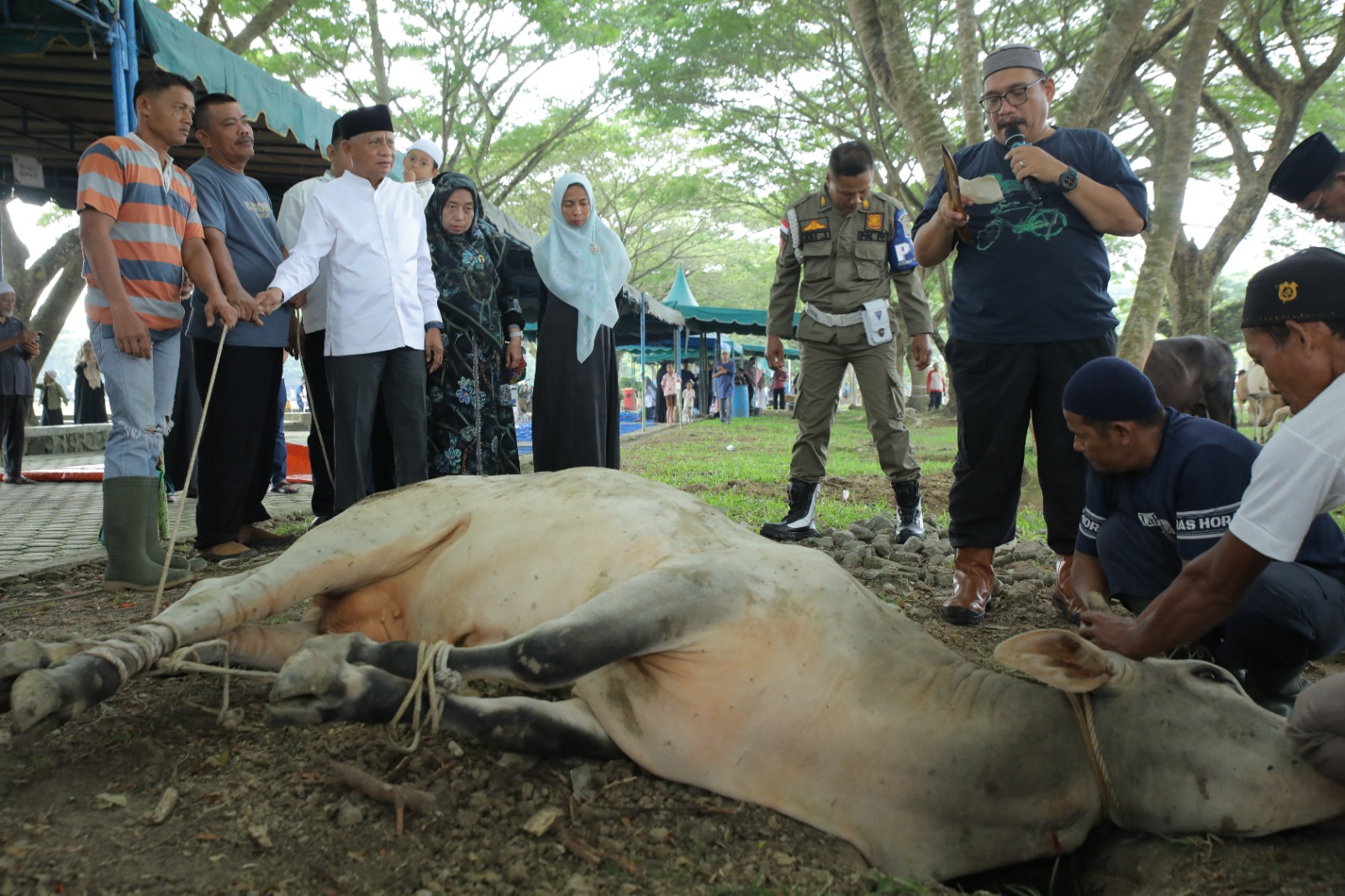 Pemkab Asahan Sembelih 13 Hewan Kurban
