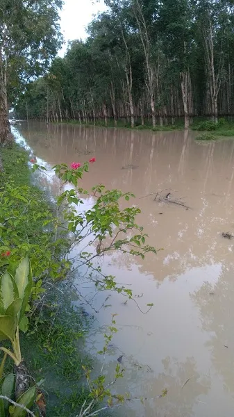 Bendungan Tak Terawat<br>Kawasan Di Batubara Sempat Terimbas Banjir Kiriman
