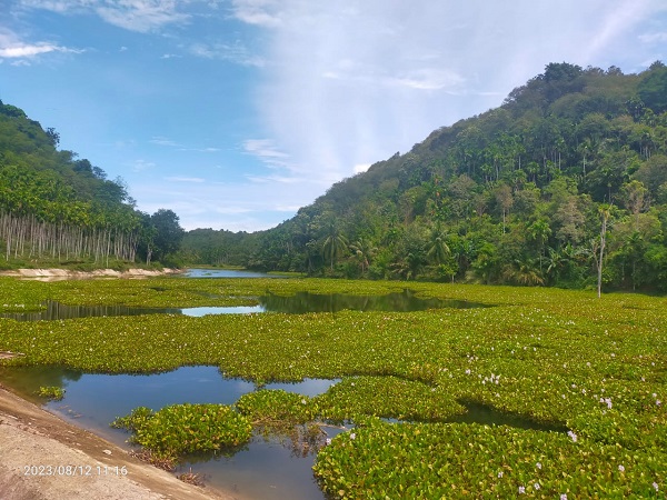 Pertama Di Aceh, Hutan Adat Diakui Negara