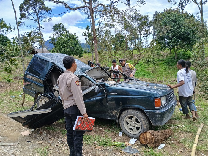 Tiga Warga Deliserdang Tewas Ditimpa Pohon Di Langkat
