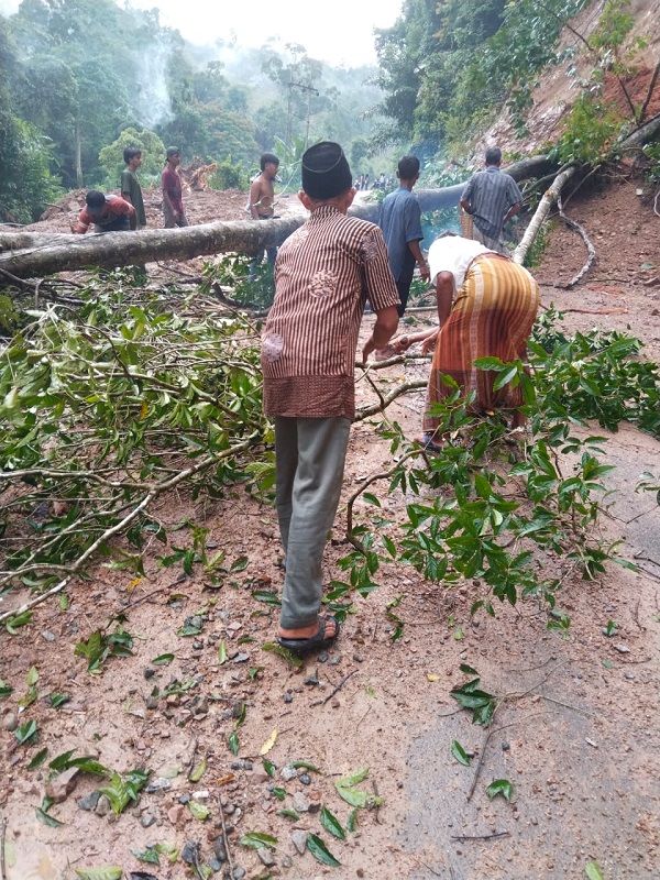Akses Jalan Tambangan Tertutup Longsor Dan Pohon Tumbang