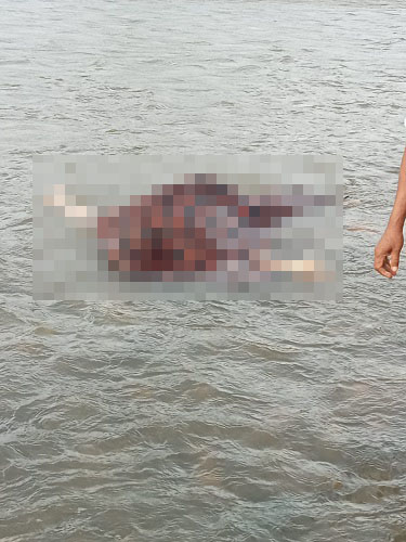 Santri Musthafawiyah Ditemukan Meninggal Di Jembatan Hutabargot