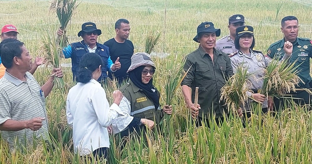 Polres P.Siantar Pantau Pengubinan Hasil Panen Padi