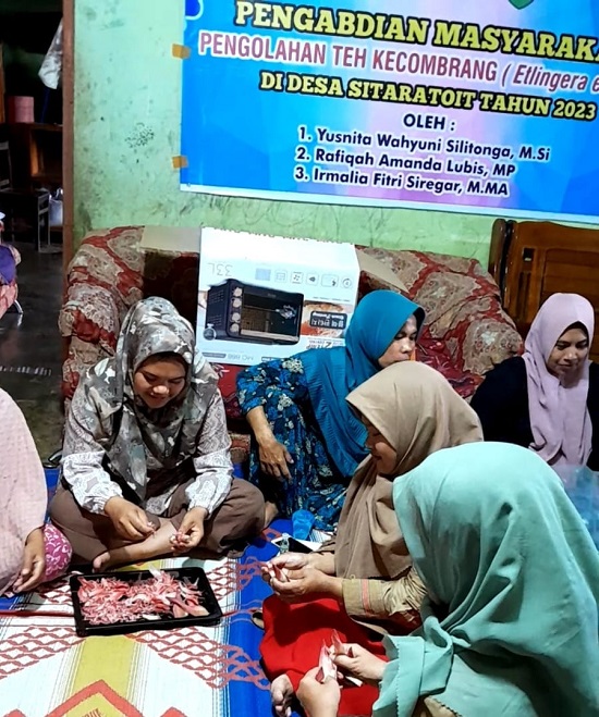 Dosen UM-Tapsel Edukasi Warga Sitaratoit Buat Teh Kecombrang