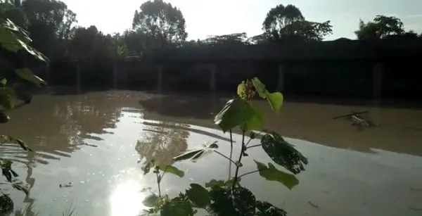 Banjir Hantam Tembok Penangkaran Buaya Hingga Roboh, Dikhawatirkan Buaya Lepas