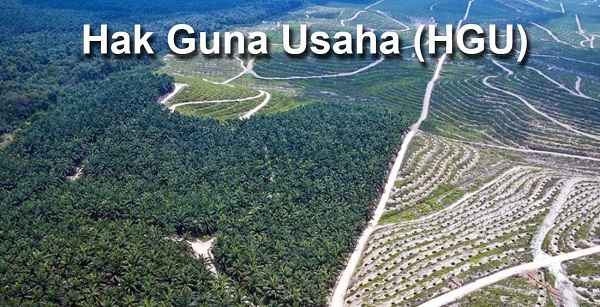 PTPN IV Kebun Timur Ajukan HGU 4.053 Ha, Warga Diabaikan
