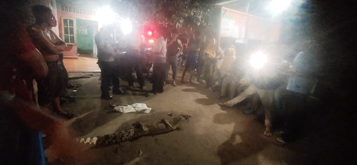 Buaya Liar Ditangkap Warga Batubara