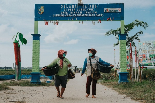 Program Babe Lucu Inalum, Dorong Pertumbuhan Ekonomi Batubara