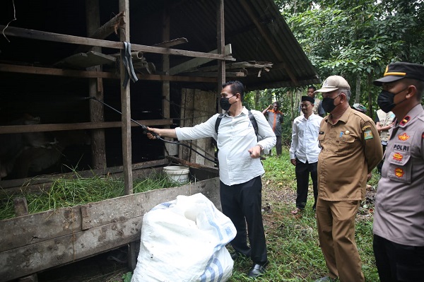 Distan Aceh Besar Sambangi Ternak Di Darul Kamal