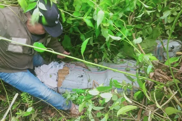 Jaringan Ganja Antarprovinsi Diungkap, 145 Kg Ganja Dan 4 Tersangka Diamankan