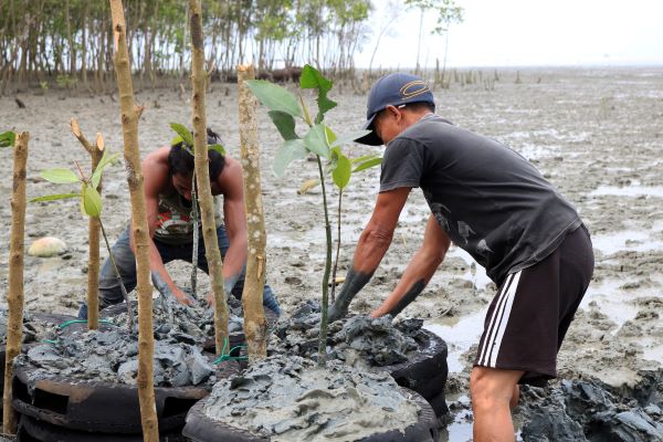 Revitalisasi Dan Konservasi Alam Pantai Oleh Inalum, Gairahkan Wisata Di Batubara
