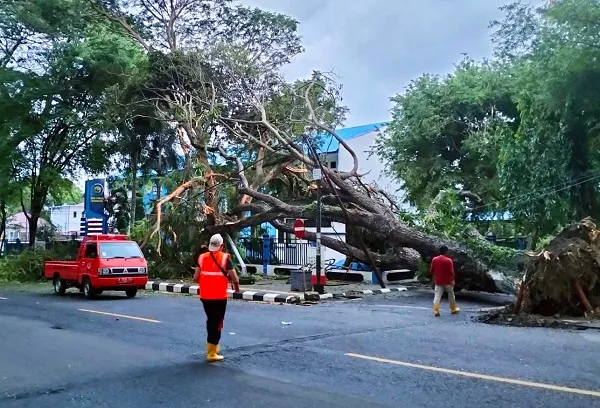 Cuaca Esktrem, BPBD Sabang Siap Siaga Tangani Bencana