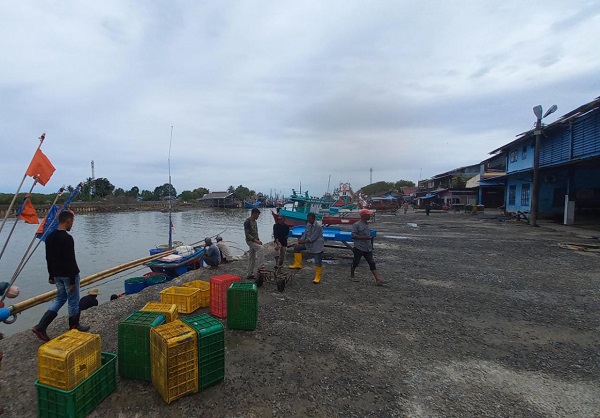PPN Aceh Timur Butuh Cold Storage