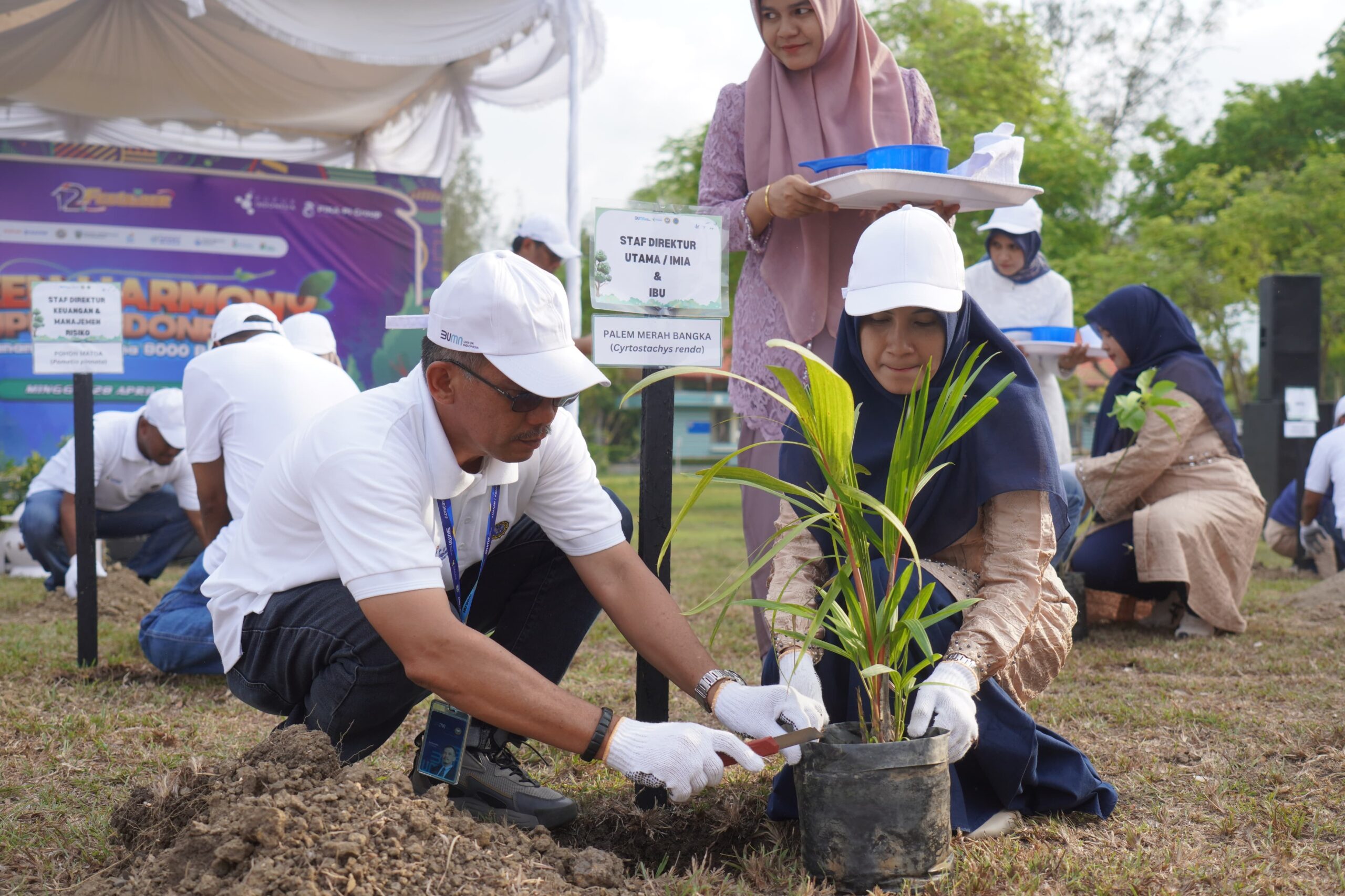 Penanaman 750 Pohon Di Aceh Utara Dan Bireuen