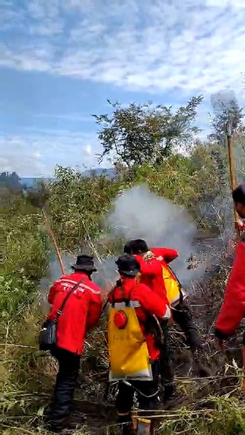 Kebakaran 2 Perbukitan Di Karo, Berhasil Dipadamkan Secara Manual