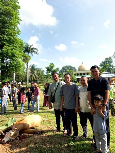 Enam Sapi Qurban PT.BSP Tbk Kisaran
