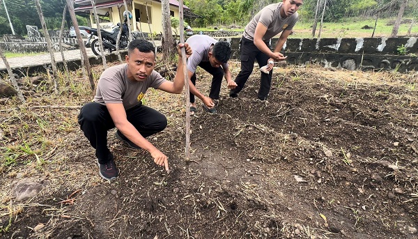 Anggota Polres Sabang Manfaatkan Lahan Kosong Tanana Sayuran