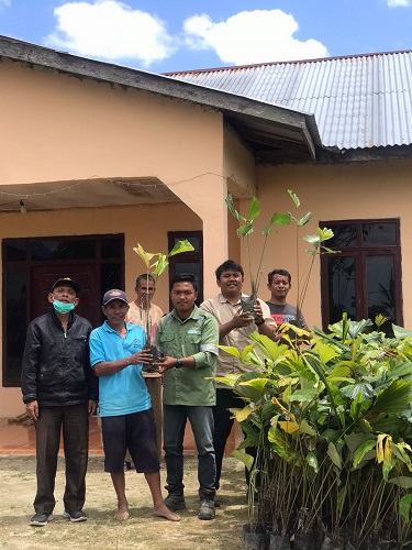 TPL Sektor Habinsaran Salurkan Bibit Aren Kepada Poktan