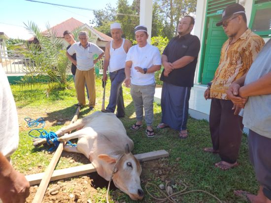 HIPMI Palas Sembelih Qurban, Berbagi Dengan Masyarakat