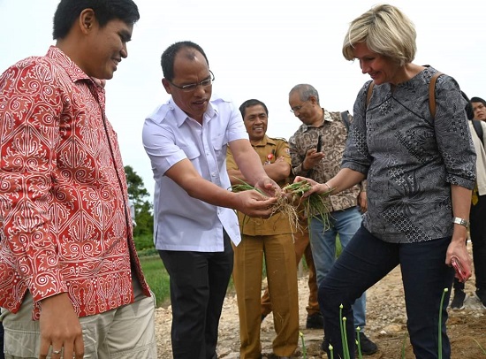 Perwakilan Bank Dunia Kunjungi Food Estate