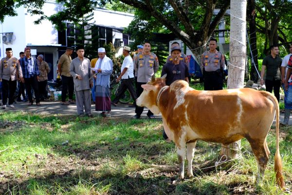Qurban Presisi Polres Aceh Utara Sambut Idul Adha 1444 H