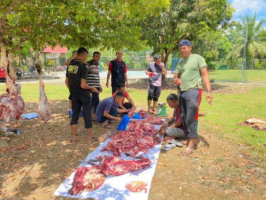 Kemenag Nagan Raya Bantu 5 Sapi Kurban