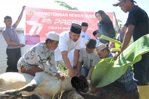 Polres Madina Sembelih 10 Ekor Hewan Kurban