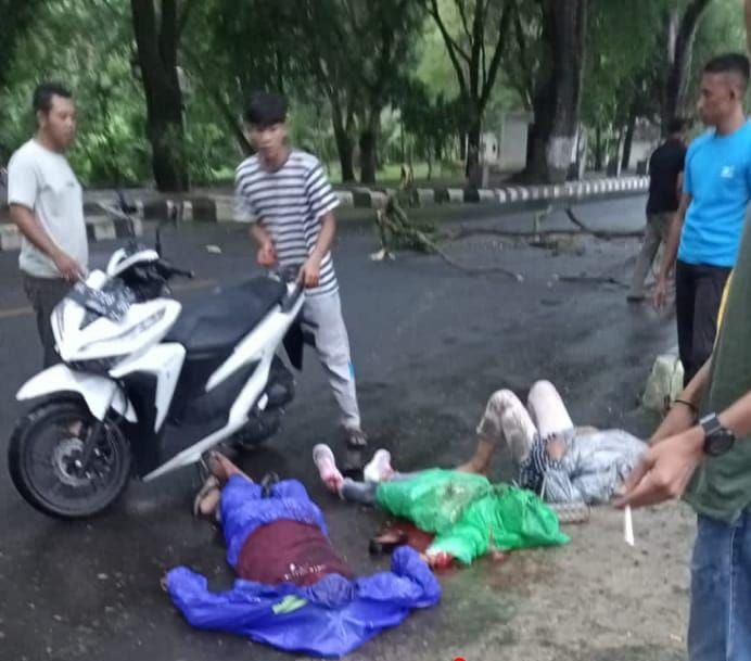 Warga Pijay Meninggal Di Sabang Ketimpa Dahan Kayu