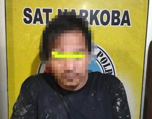 Pengedar Narkoba Ditangkap Polisi