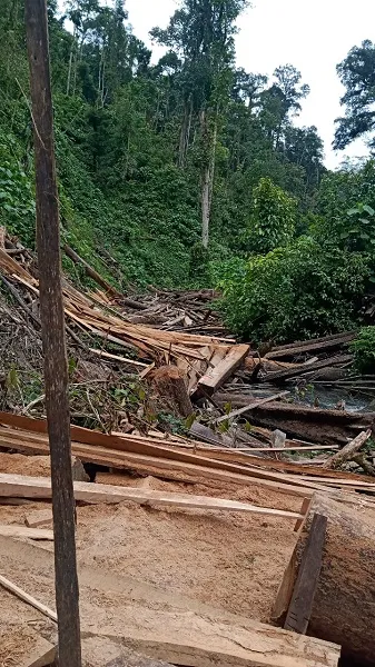 Perambahan Hutan Di Hulu Sungai Rentan Terjadinya Banjir Bandang