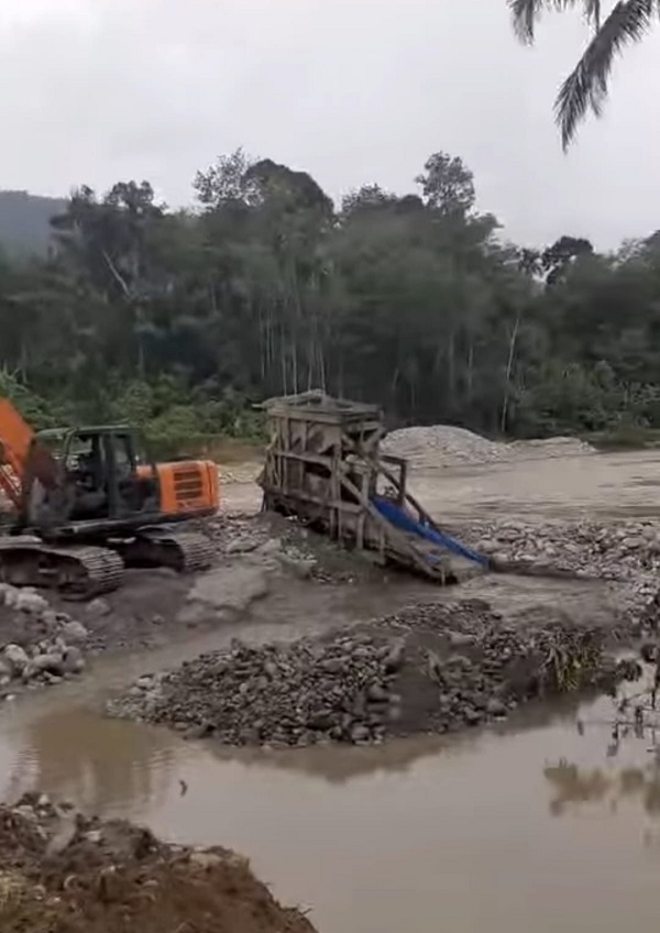 Akibat PETI Kotanopan, Persawahan 5 Kecamatan Terancam