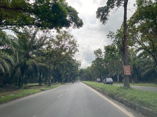 Jalan Megawati Gelap, Pj Gubsu Diminta Ambil Sikap