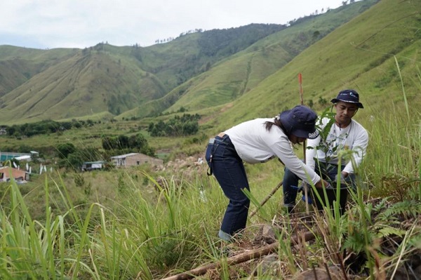 Program Kehati Inalum Tanam Pohon Di STA Danau Toba