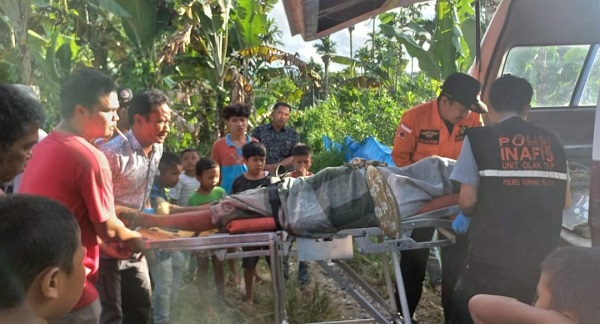 Sesosok Jenazah Ditemukan Di Kebun Salak Sibangkua