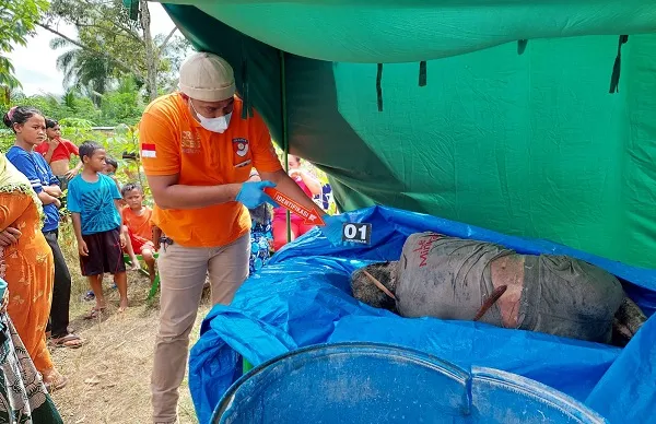 Sepekan Hilang, Sukardi Ditemukan Tewas Membusuk Di Paret Besar Nagori Bangun
