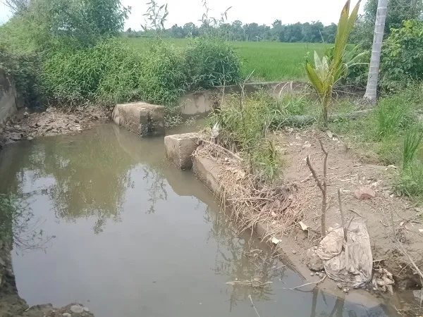 Box Irigasi Tersier Rusak, Puluhan Ha Areal Pertanian Warga Abdya Terancam