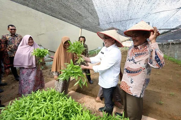 Wujudkan Ketahanan Pangan, Bakri Siddiq Ajak Warga Manfaatkan Pekarangan Rumah